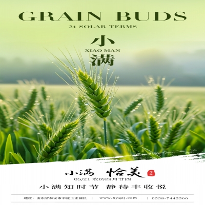 【小滿】